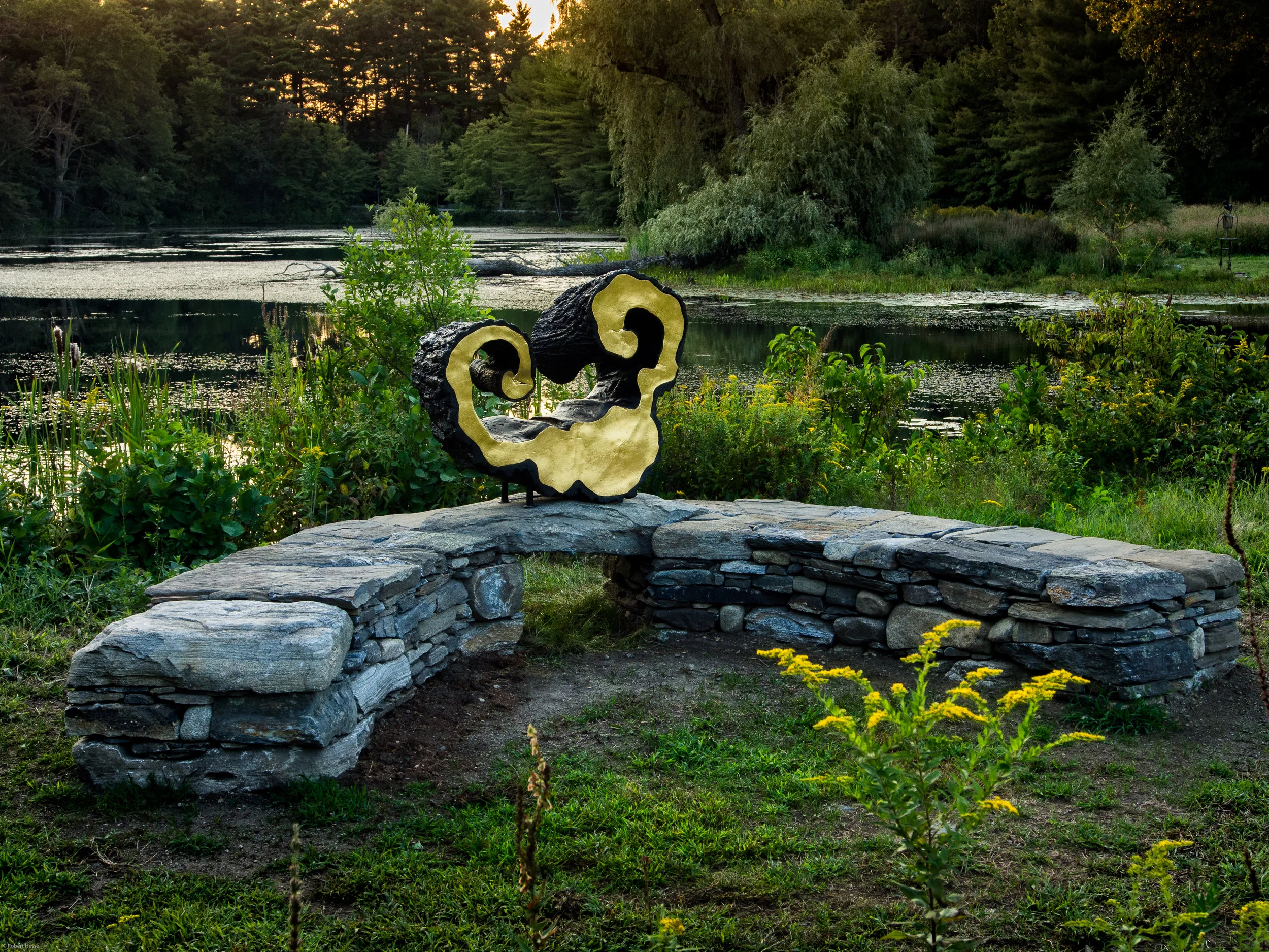 Lidian's Harp by Linda Hoffman