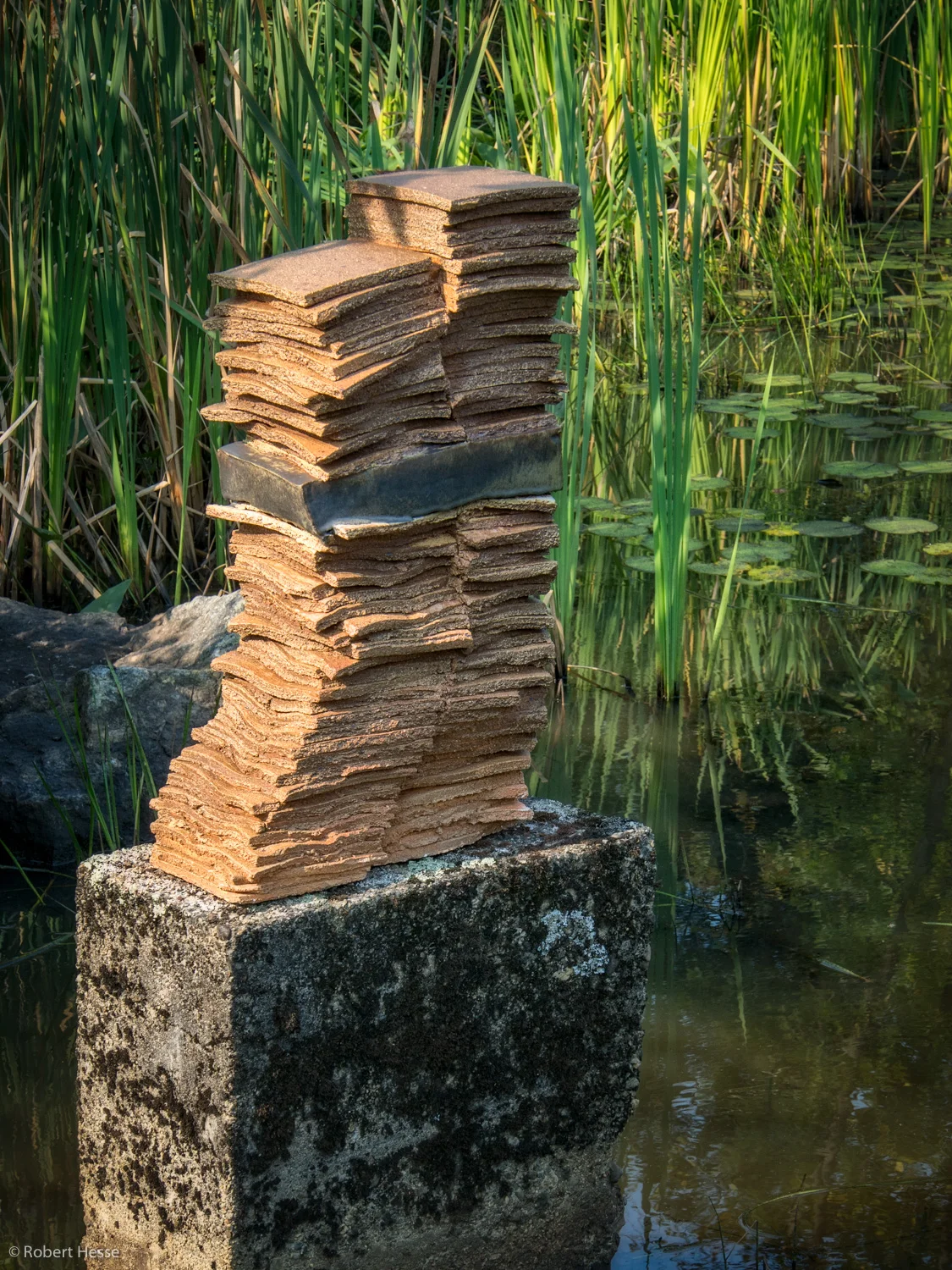 Organizing Echoes with Ash, Lydia Musco