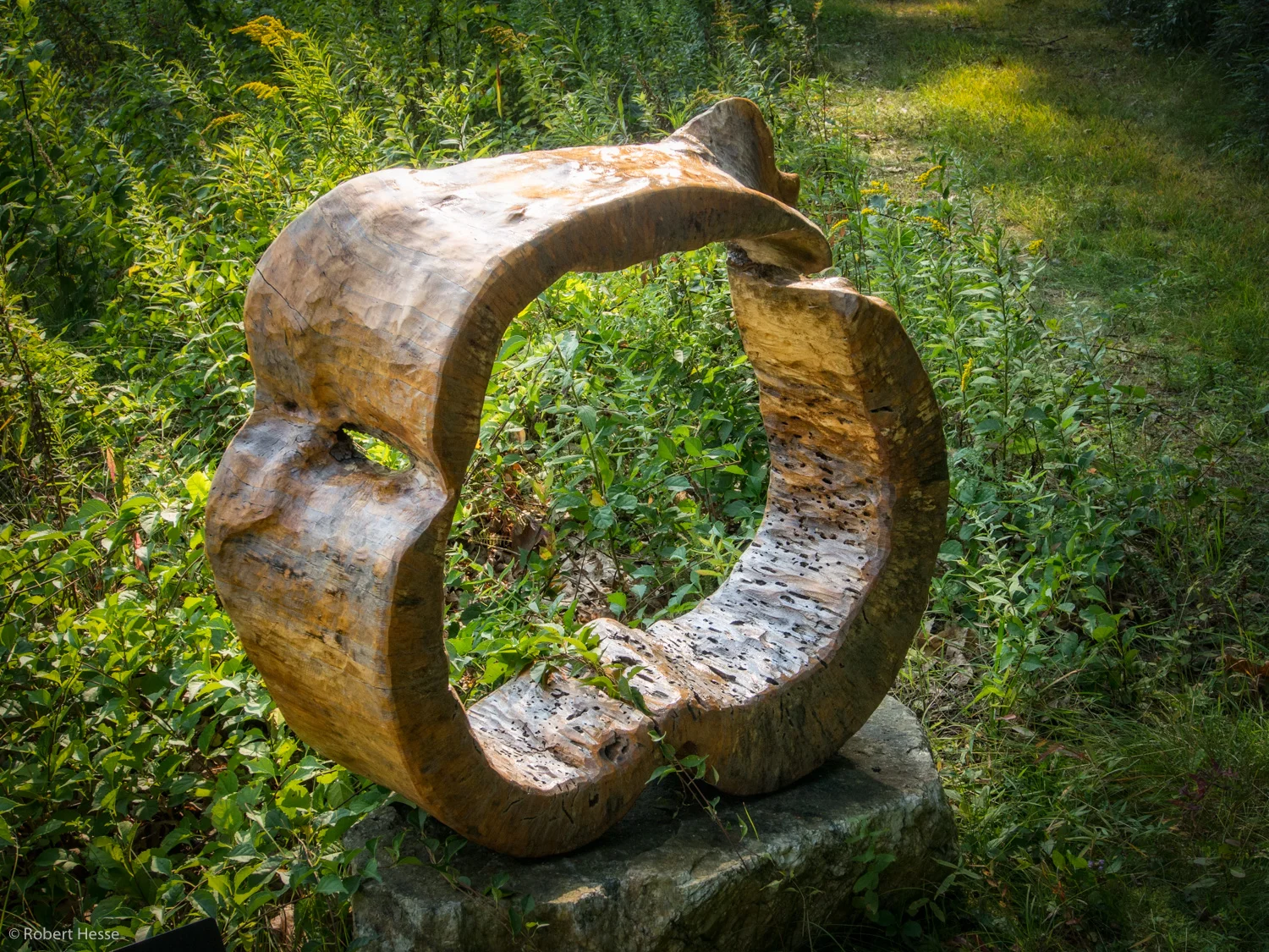 Om, Linda Hoffman