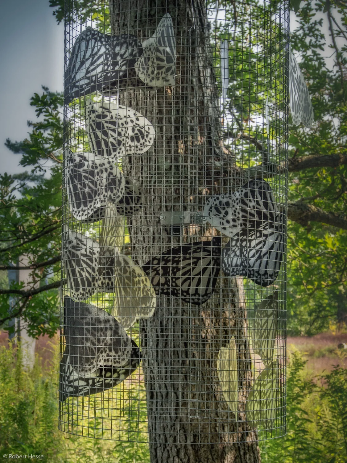 Suspended Encampment, Alicia Dwyer