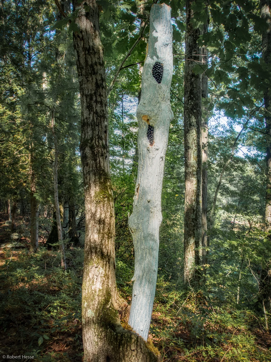 Walk17_40.jpg