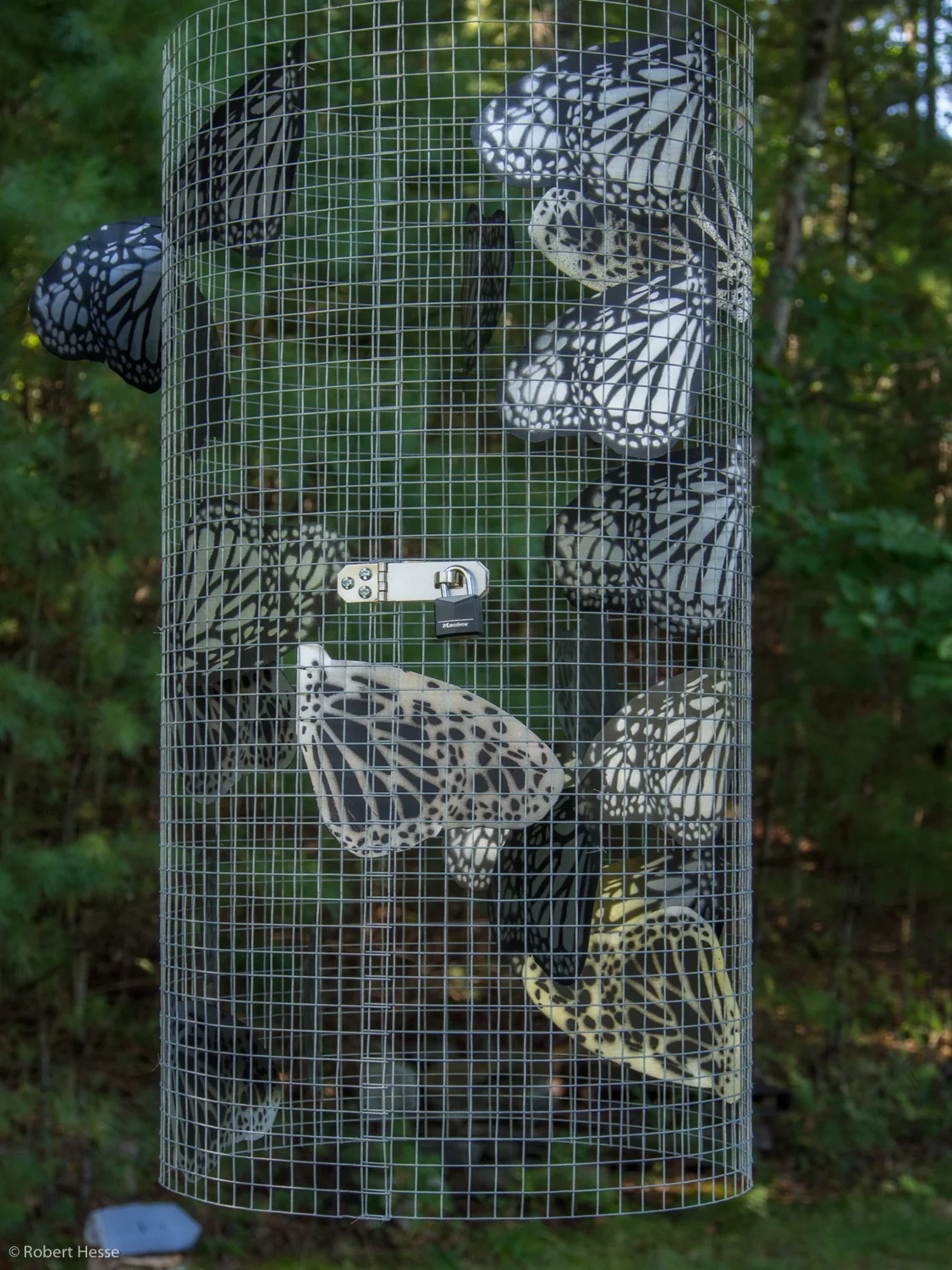 Suspended Encampment, Alicia Dwyer