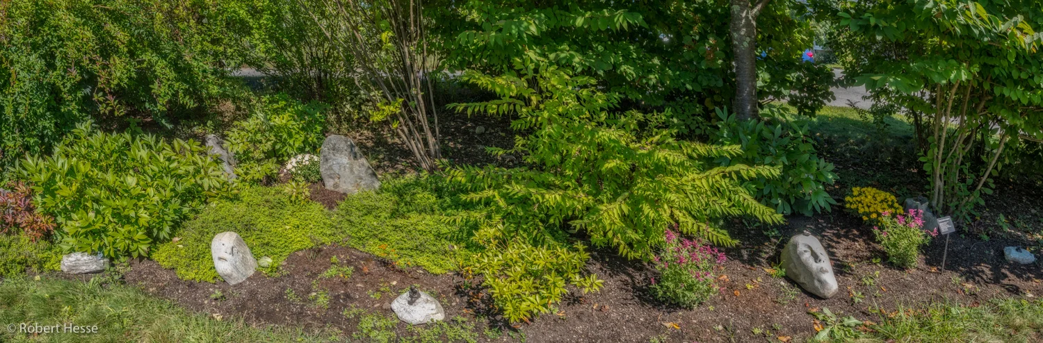 Peony Garden, Sculpture by Hoffman & Wheelwright