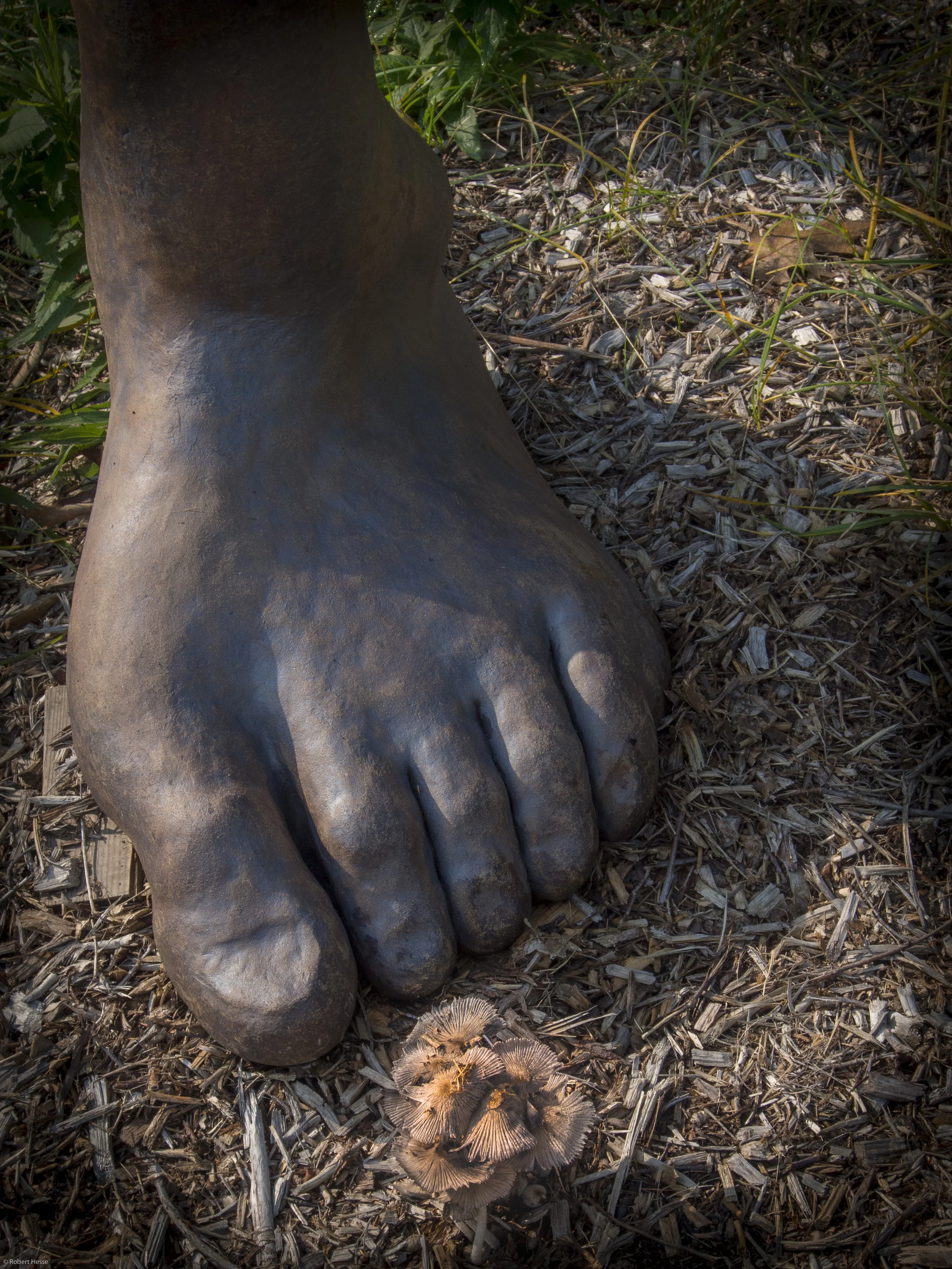 Walk17_3.jpg
