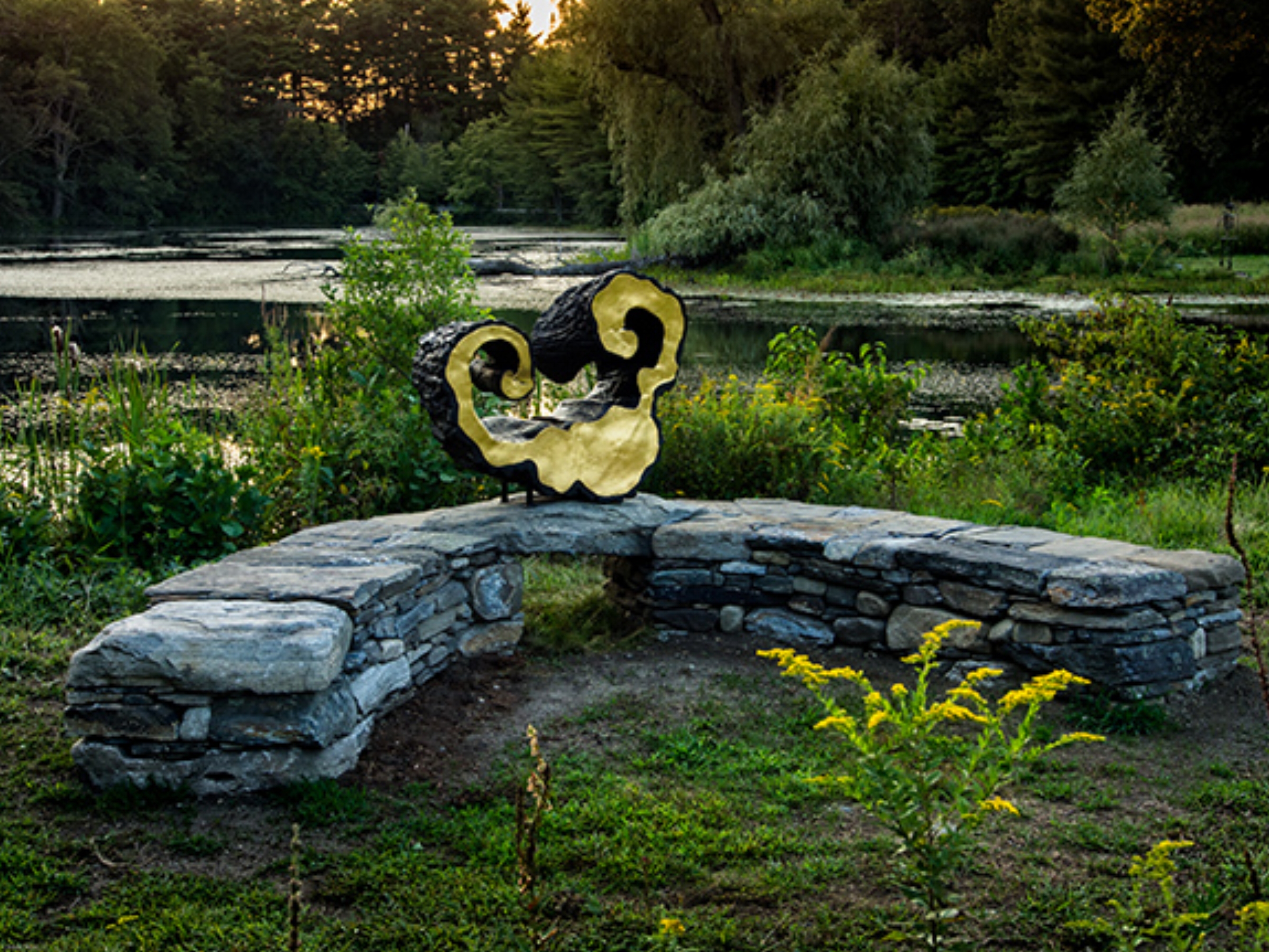 Lidian's Lyre, Linda Hoffman