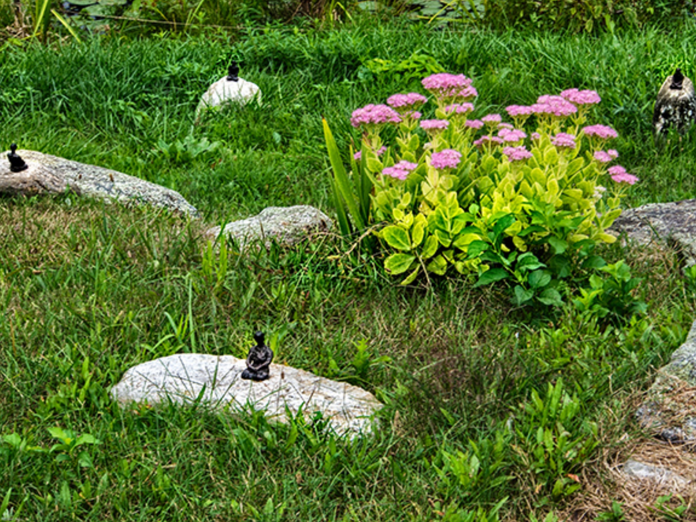 Meditation Garden, Linda Hoffman