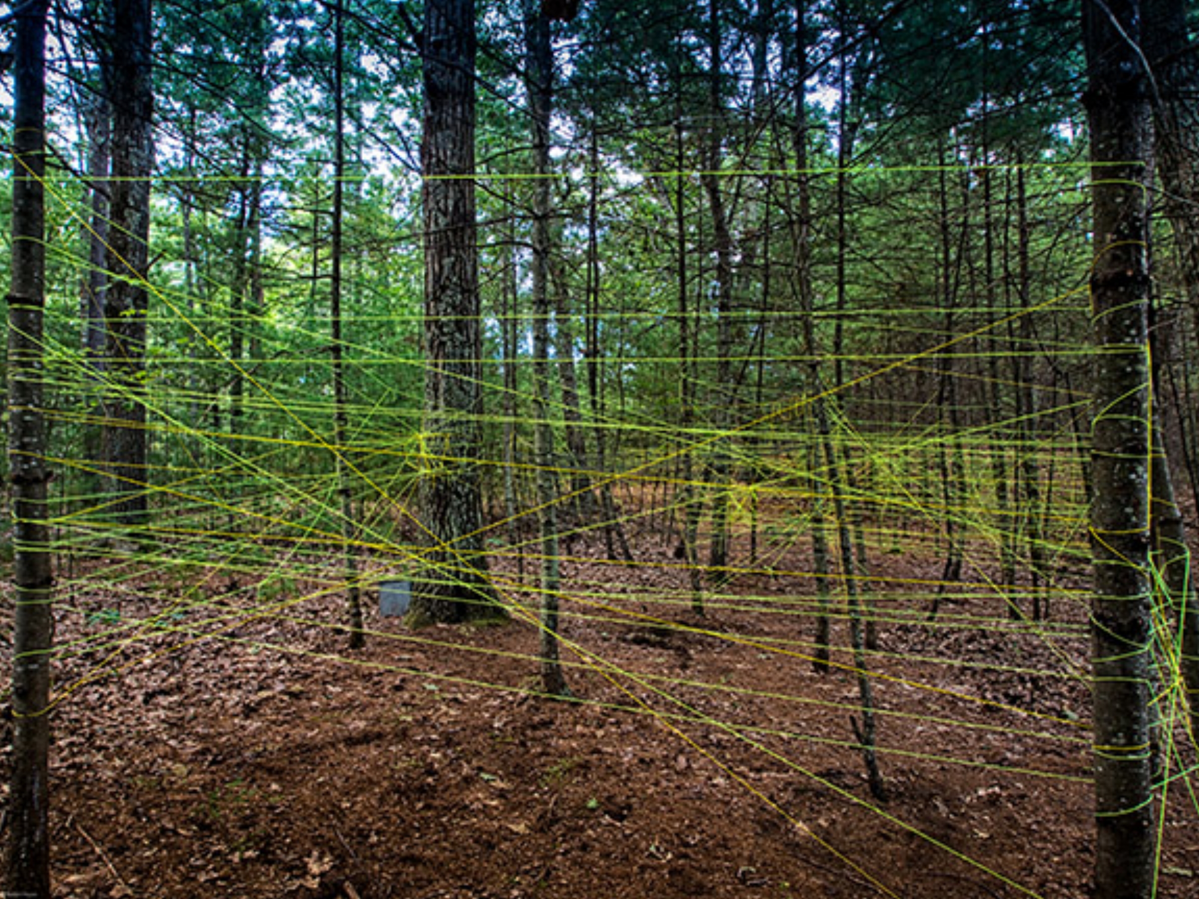 Outside the Lines, Lynn Horsky