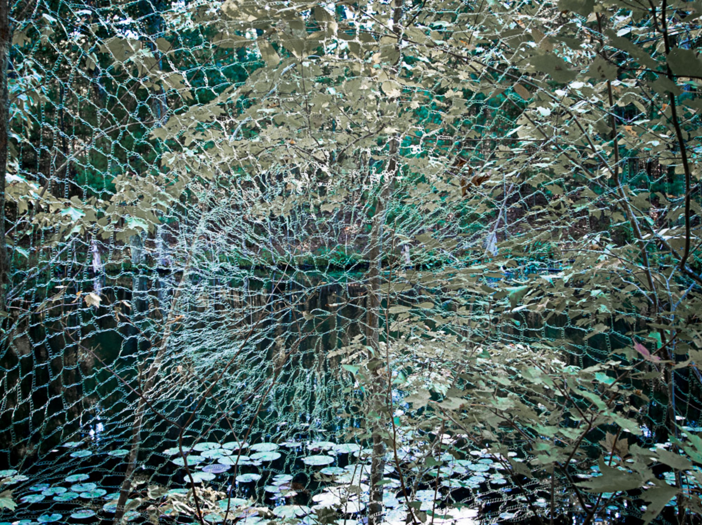 Web, Barbara Andrus