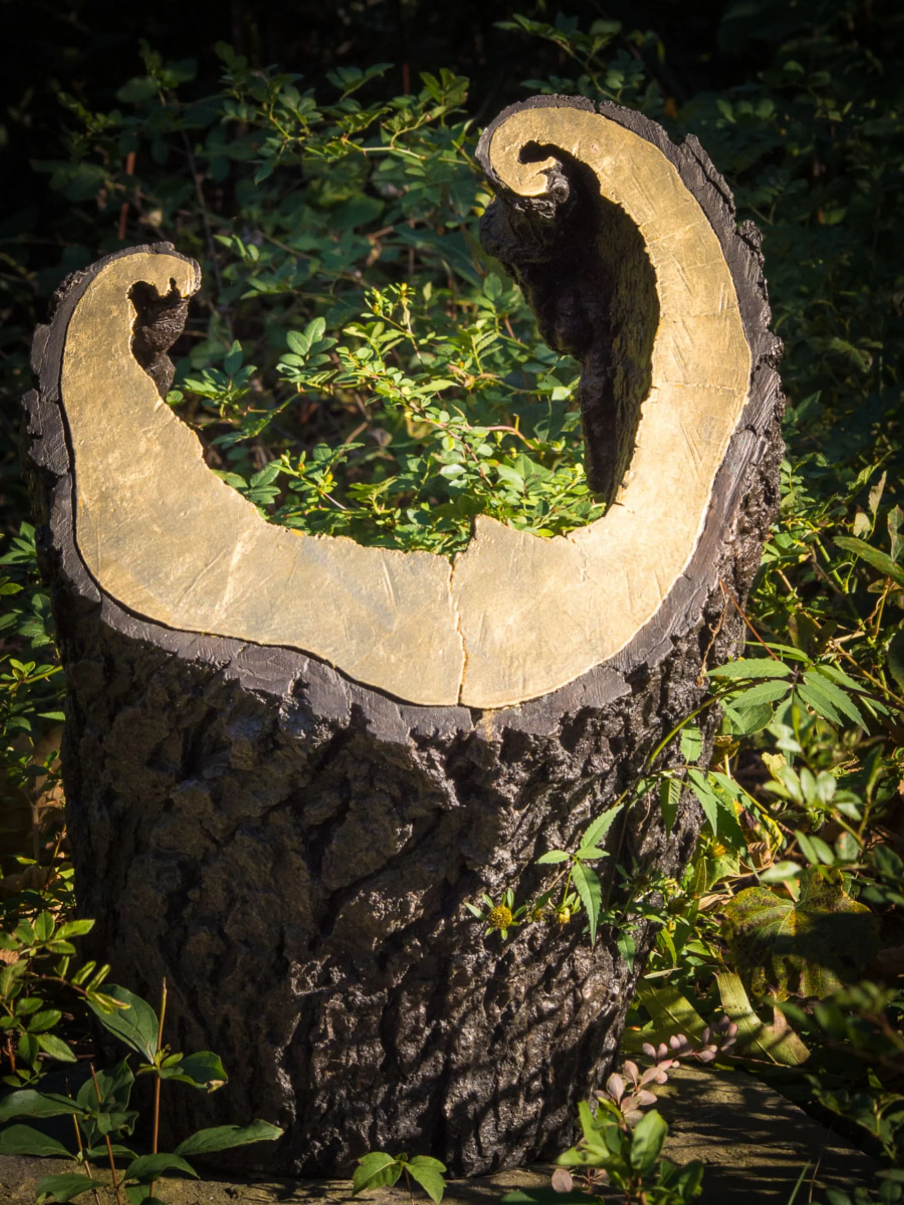Tree Harp, Linda Hoffman