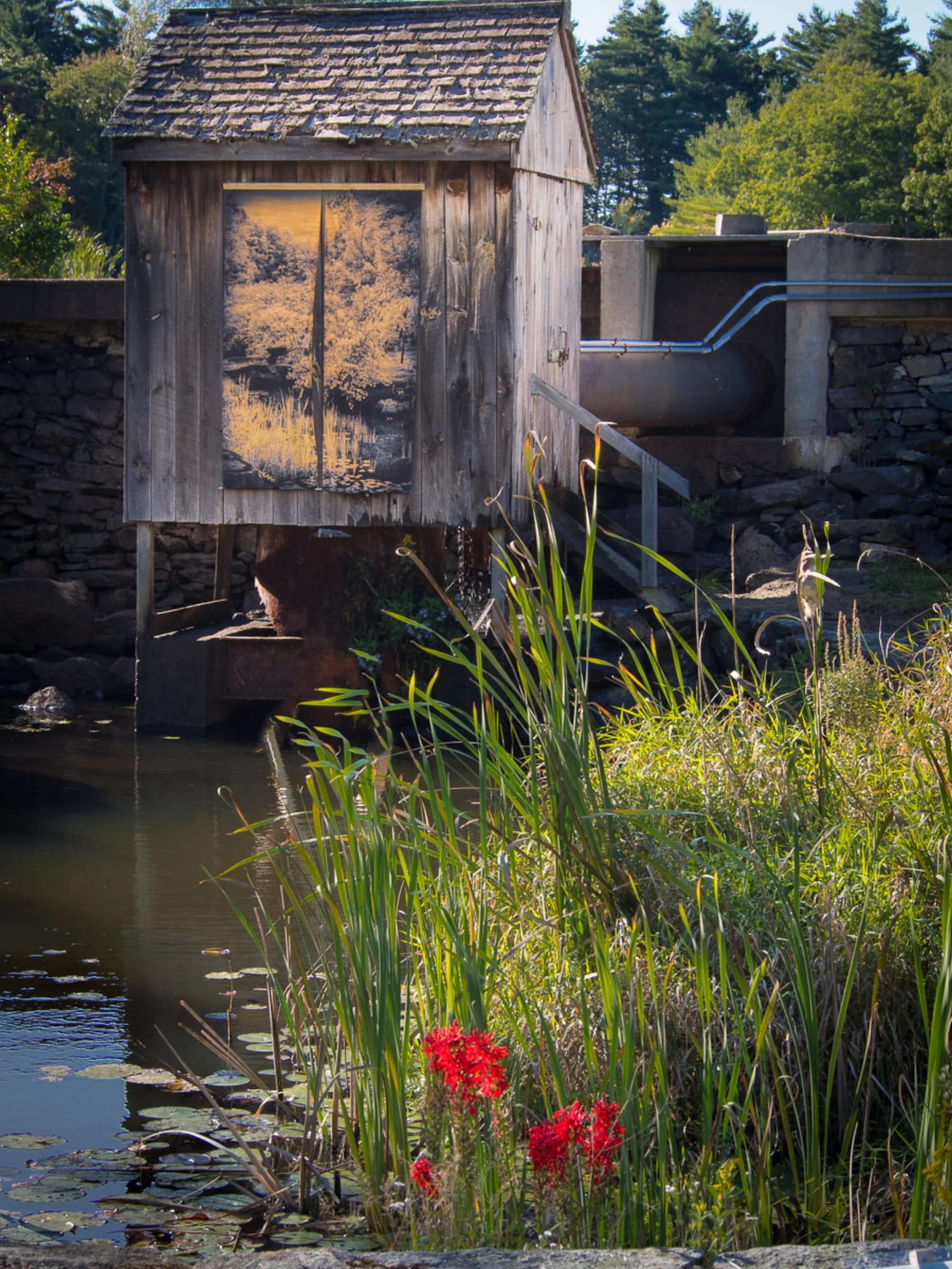 Lower Pond, Robert Hesse