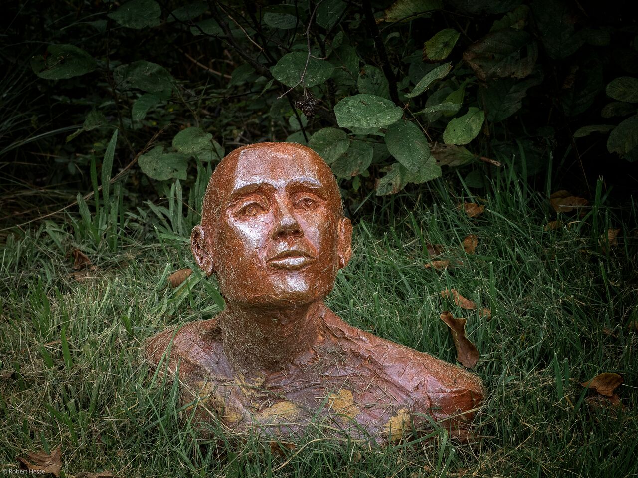 Bust