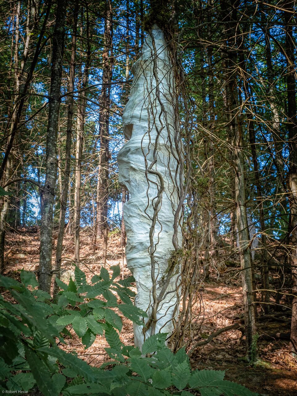 Holometabolous Objects (cocoons)