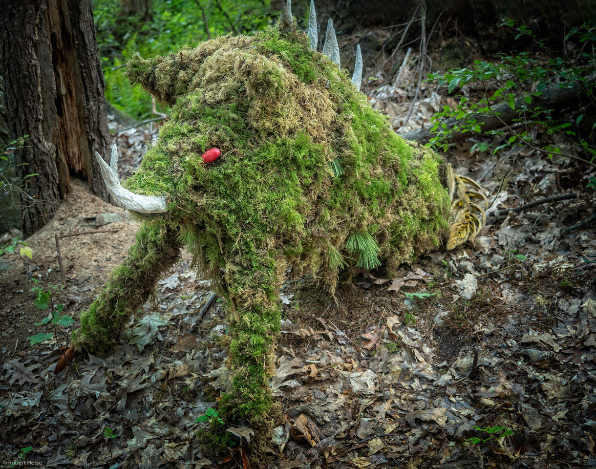 Anne's Boneyard, Anne Eder