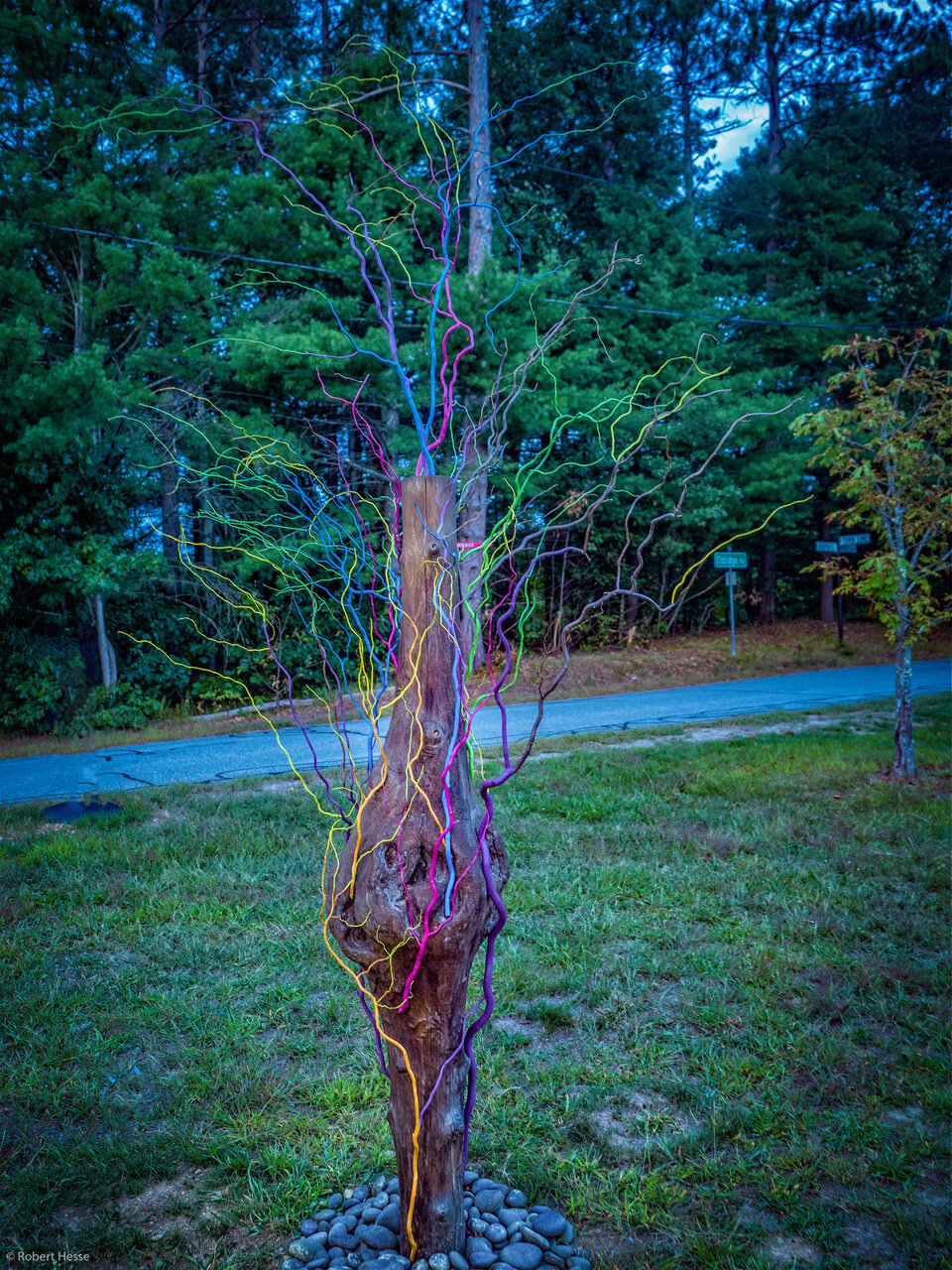 The Wishing Tree, Holly Cyganiewicz &amp; Linda Hoffman