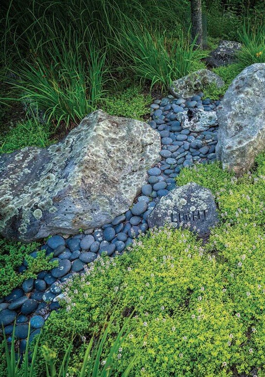 River Stones, Linda Hoffman