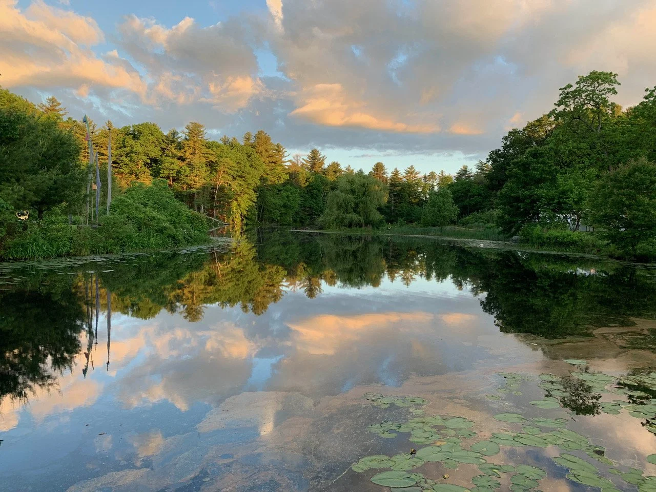 FUll Banner Possibility.jpeg