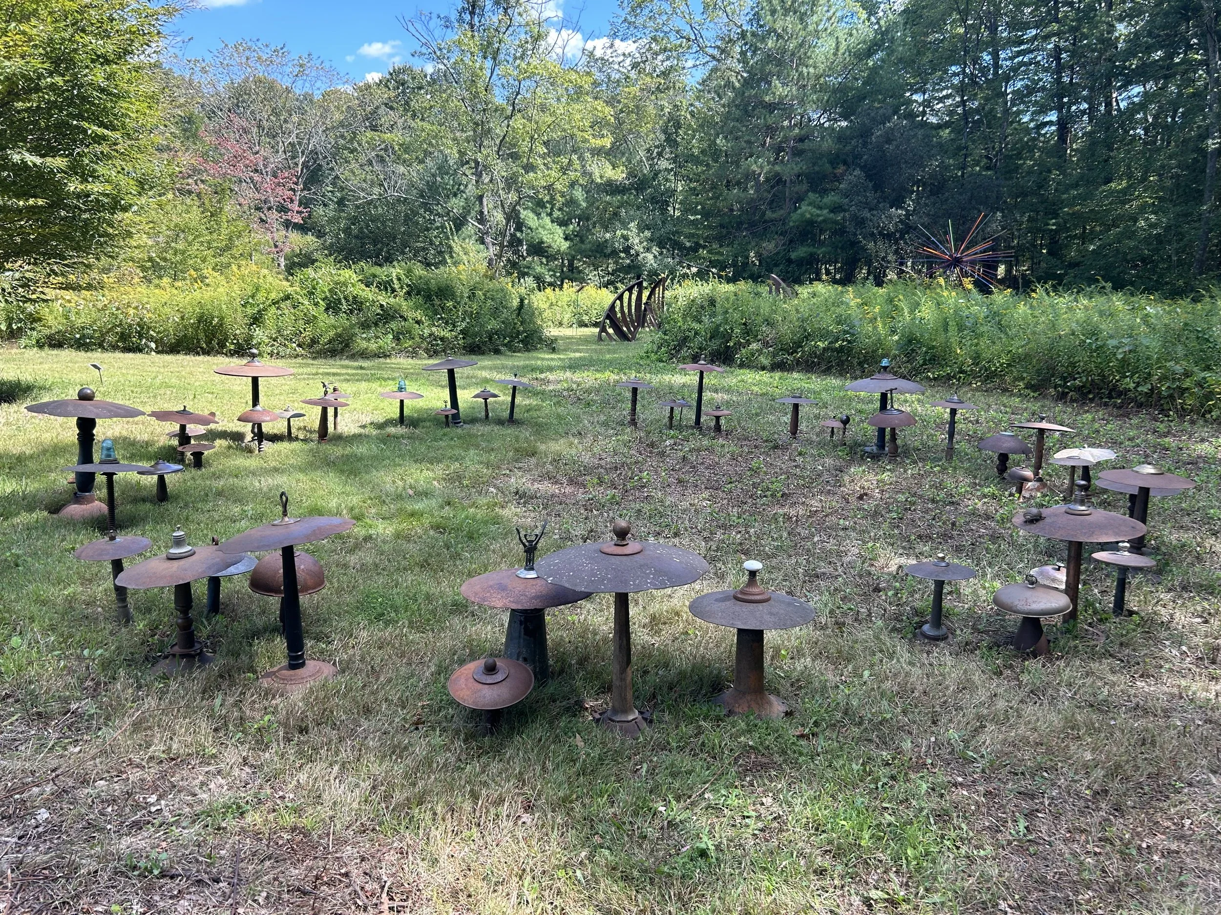 Mushroom Fairy Ring by Stephen Paulson