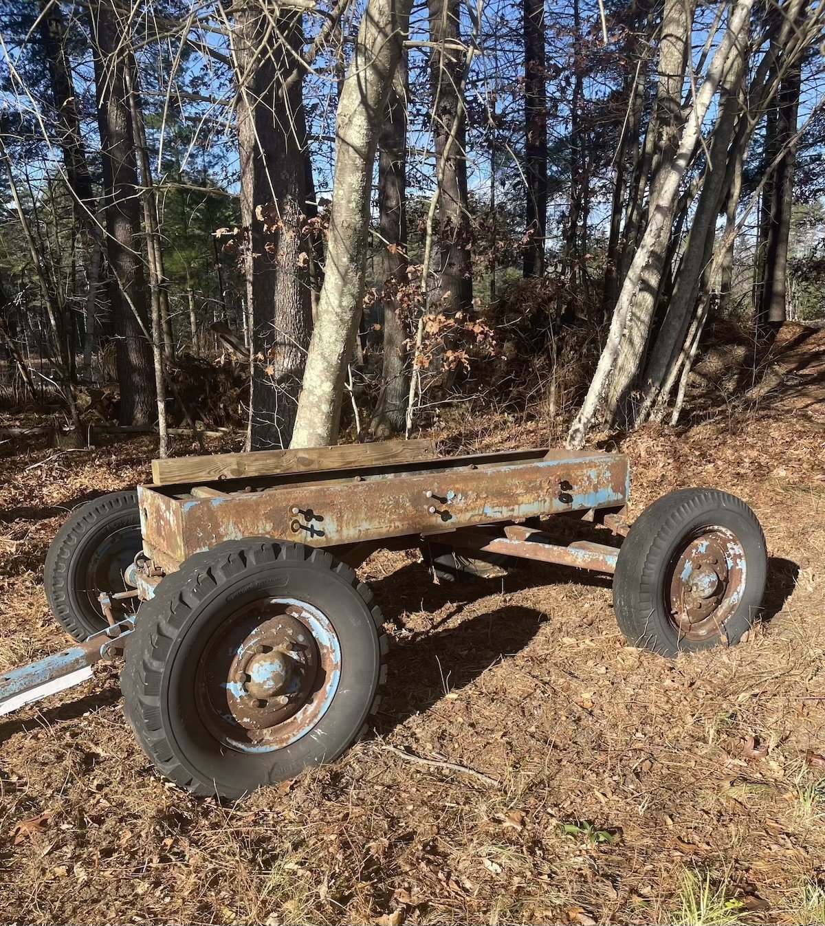 A Moveable Feast: Fiber, Found Objects, and Apple Prunings