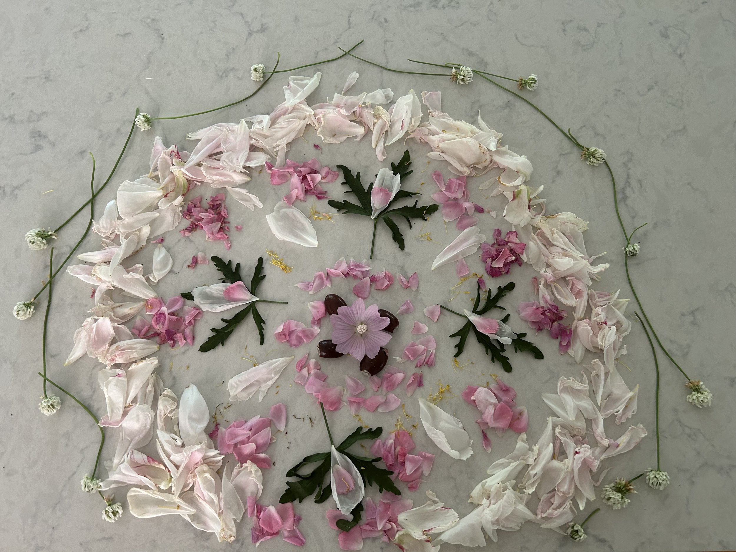 Summer Ritual & Nature Mandalas