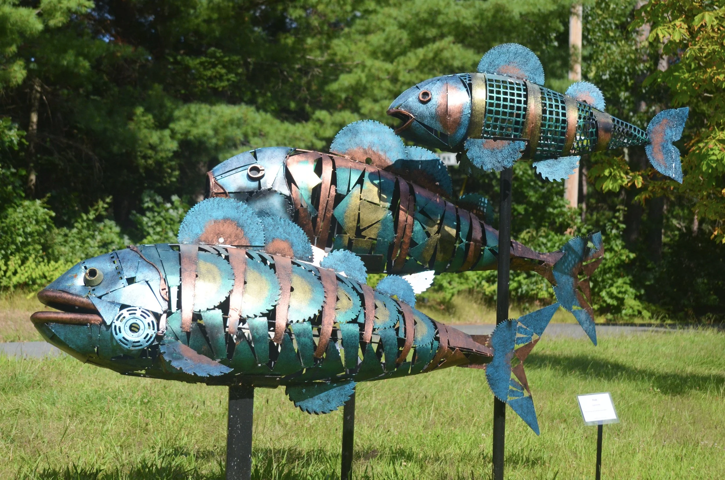"Fish" by José Criollo –– Three Fish leap, out of the pond, no problem!
