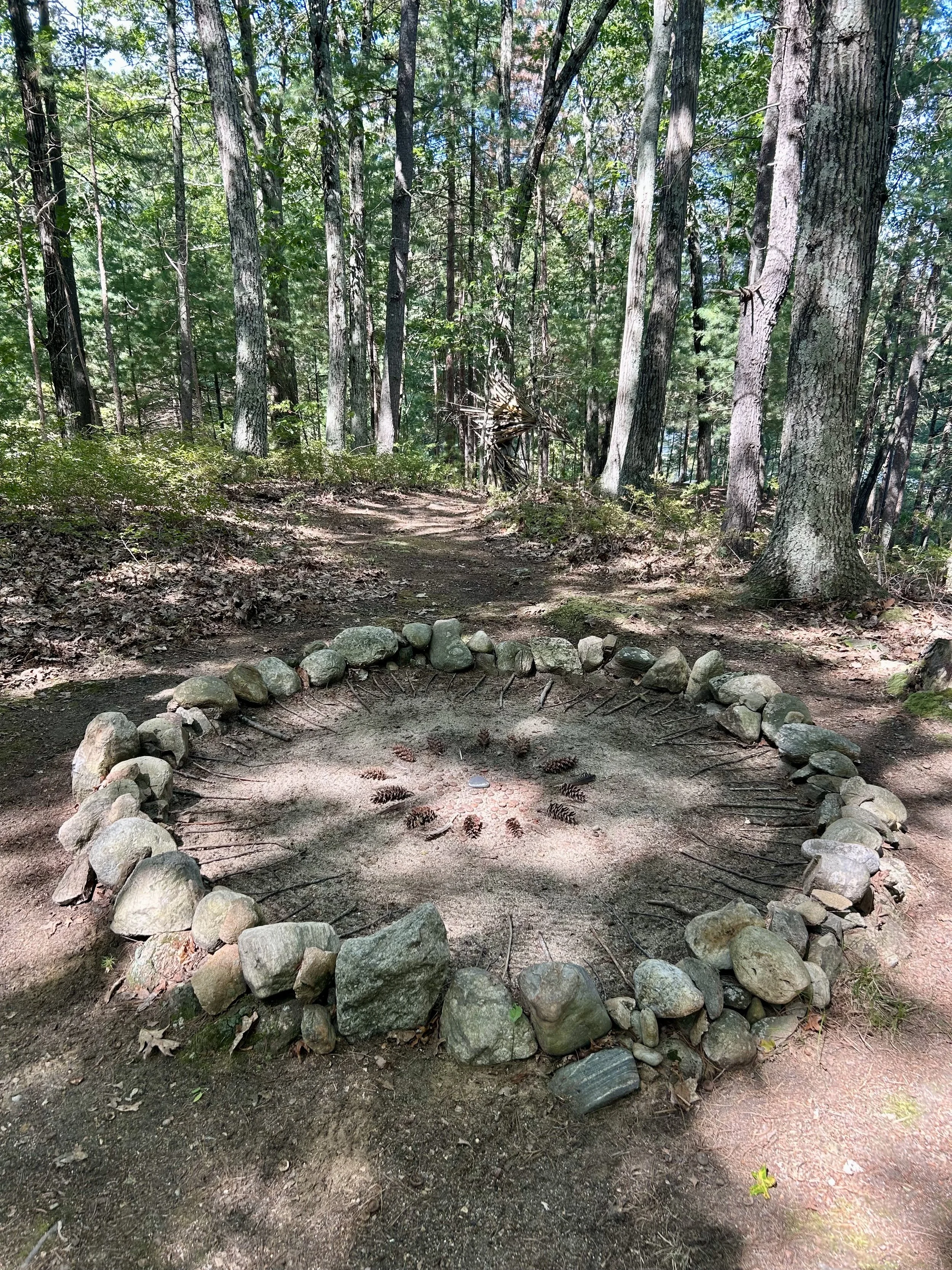 Nature Mandala by Anabel Tonkovic and Kristina Dedinas