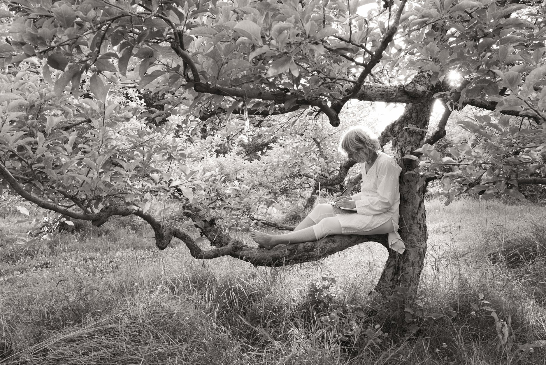 Overheard in the Orchard: Reading and Book Signing