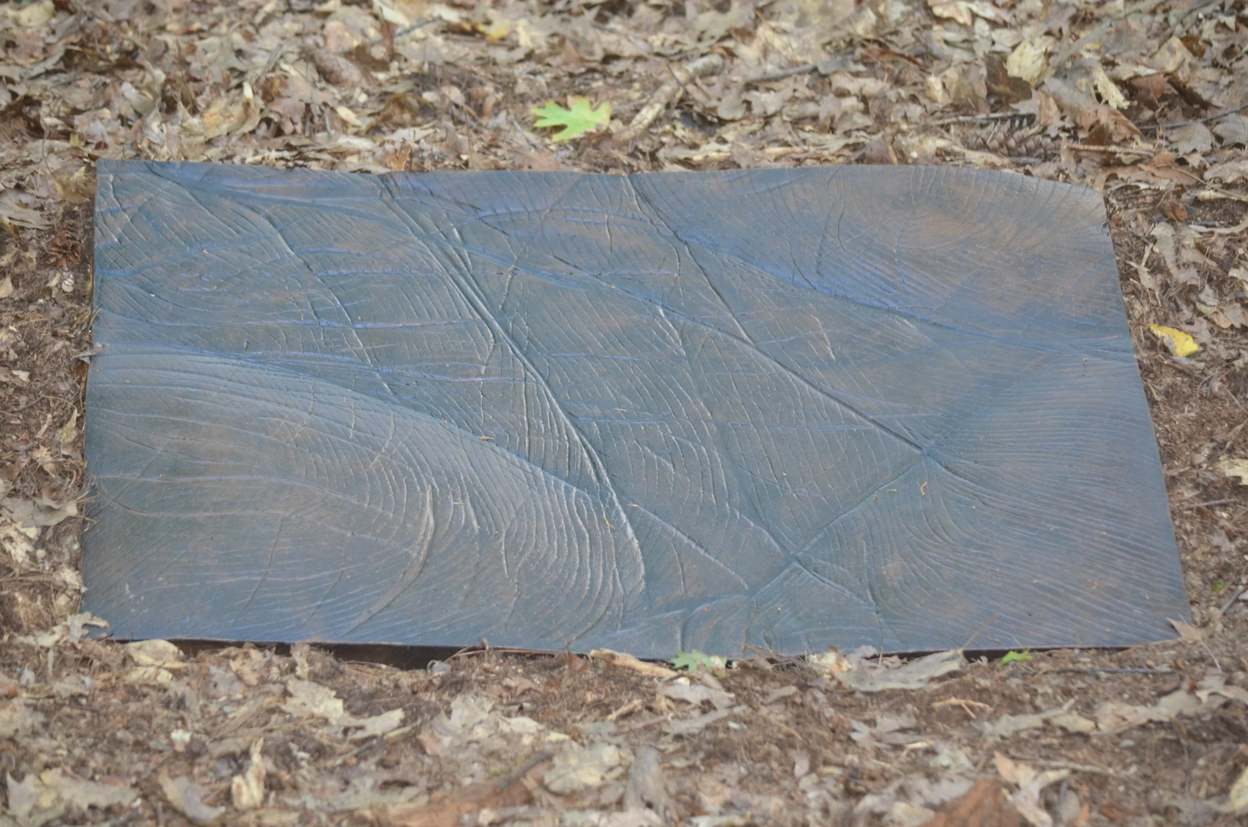 
"Palm Lines" by Patrick Goguen –– Tree rings, tendrils, roots. Life lines of Mother Earth.