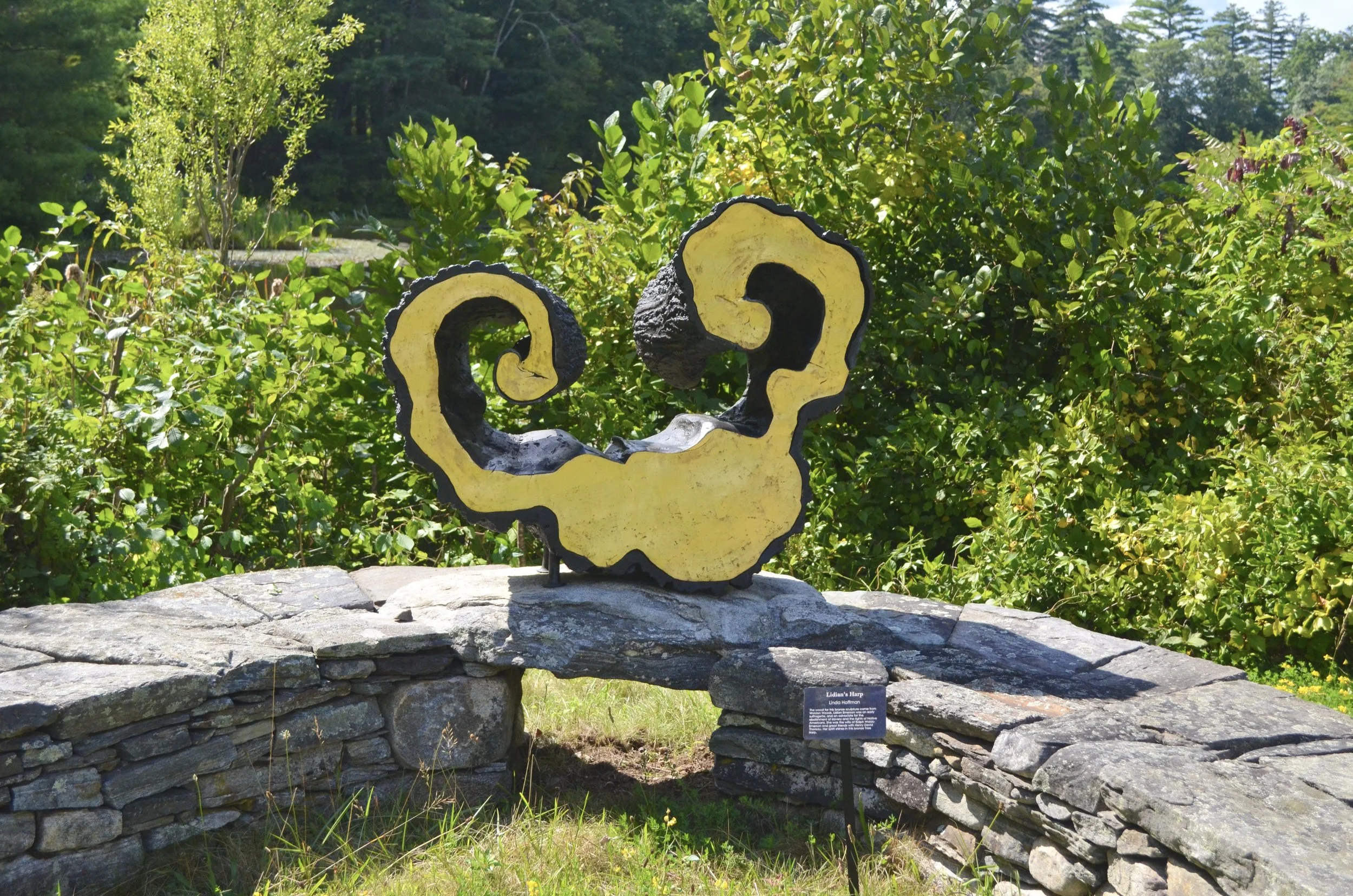 "Lidian's Harp" by Linda Hoffman –– The wood for this bronze sculpture came from Walden Woods. Lidian Emerson was an early suffragette, and an advocate for the abolishment of slavery and for the rights of Native Americans. She was the wife of Ralph W