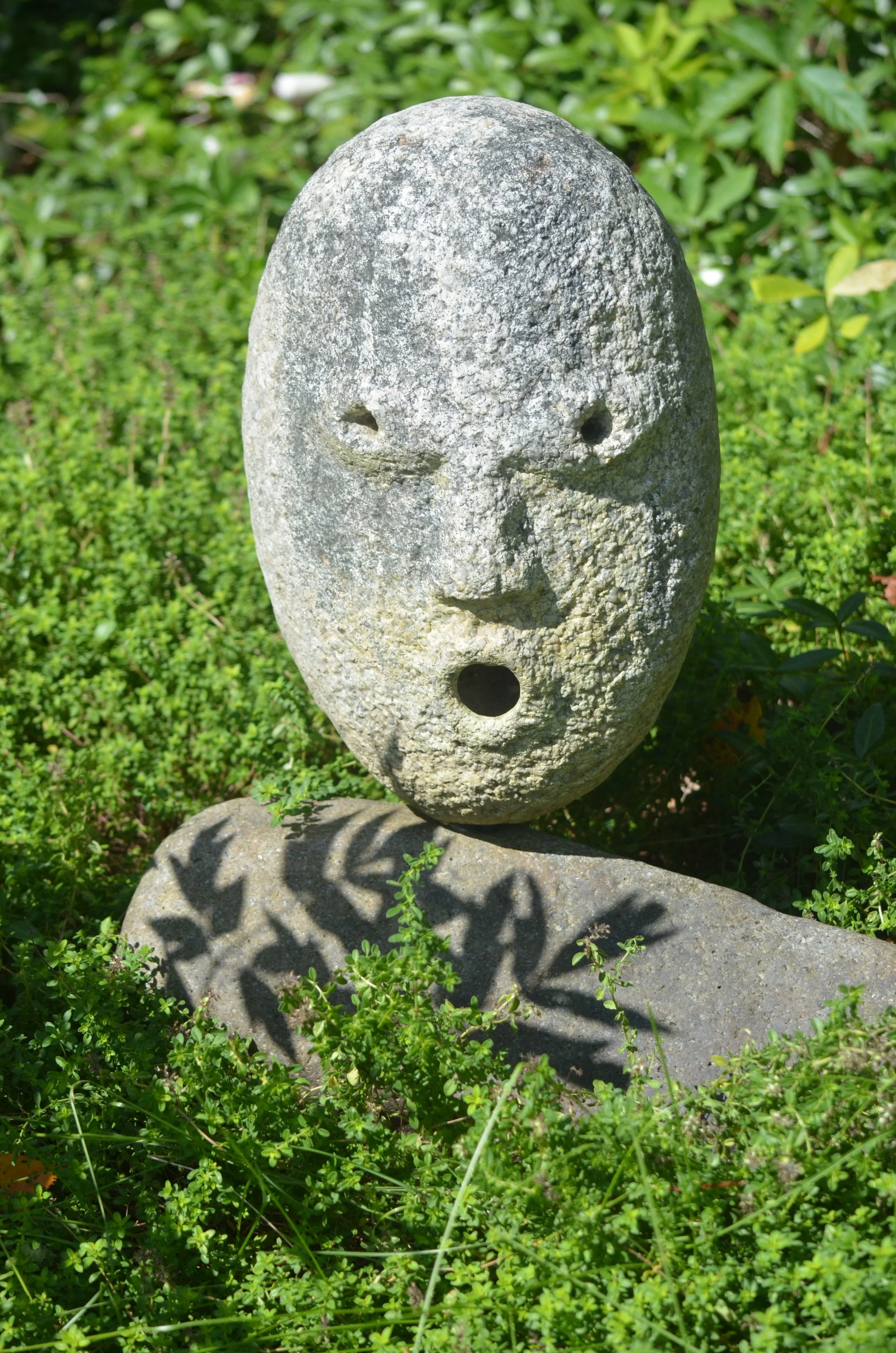"Surprise" by Joe Wheelwright