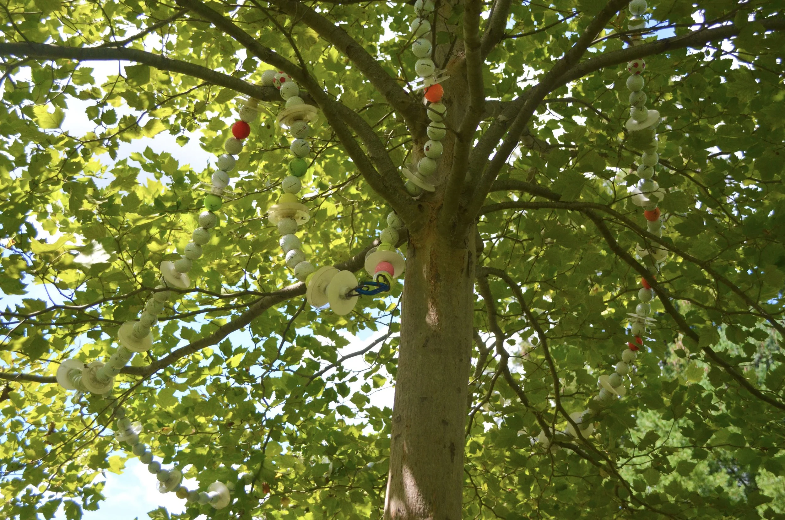 "Loop de Loop" by Janet Kawada –– The unexpected beauty in things left behind.