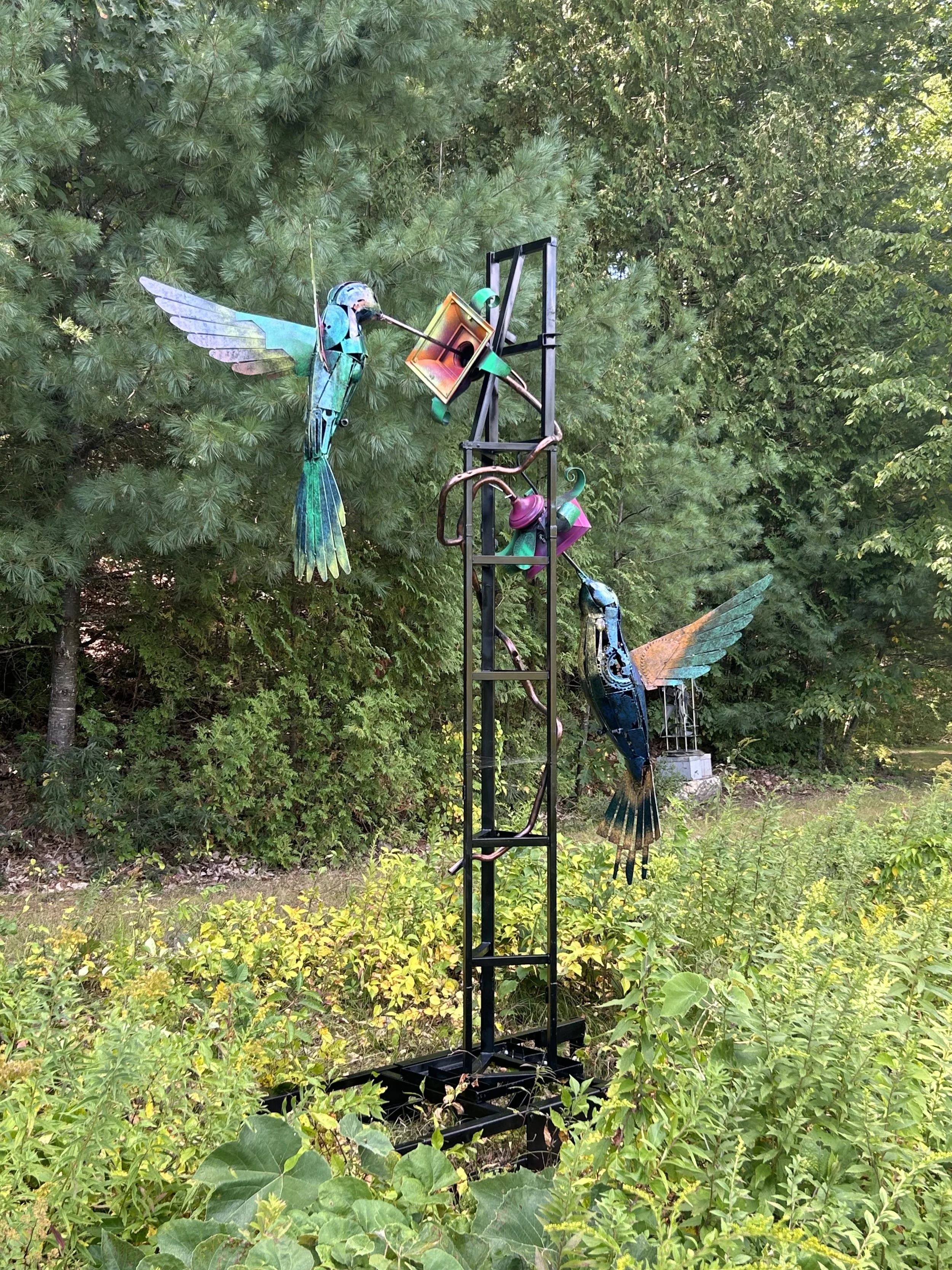 Hummingbirds by Jose Criollo