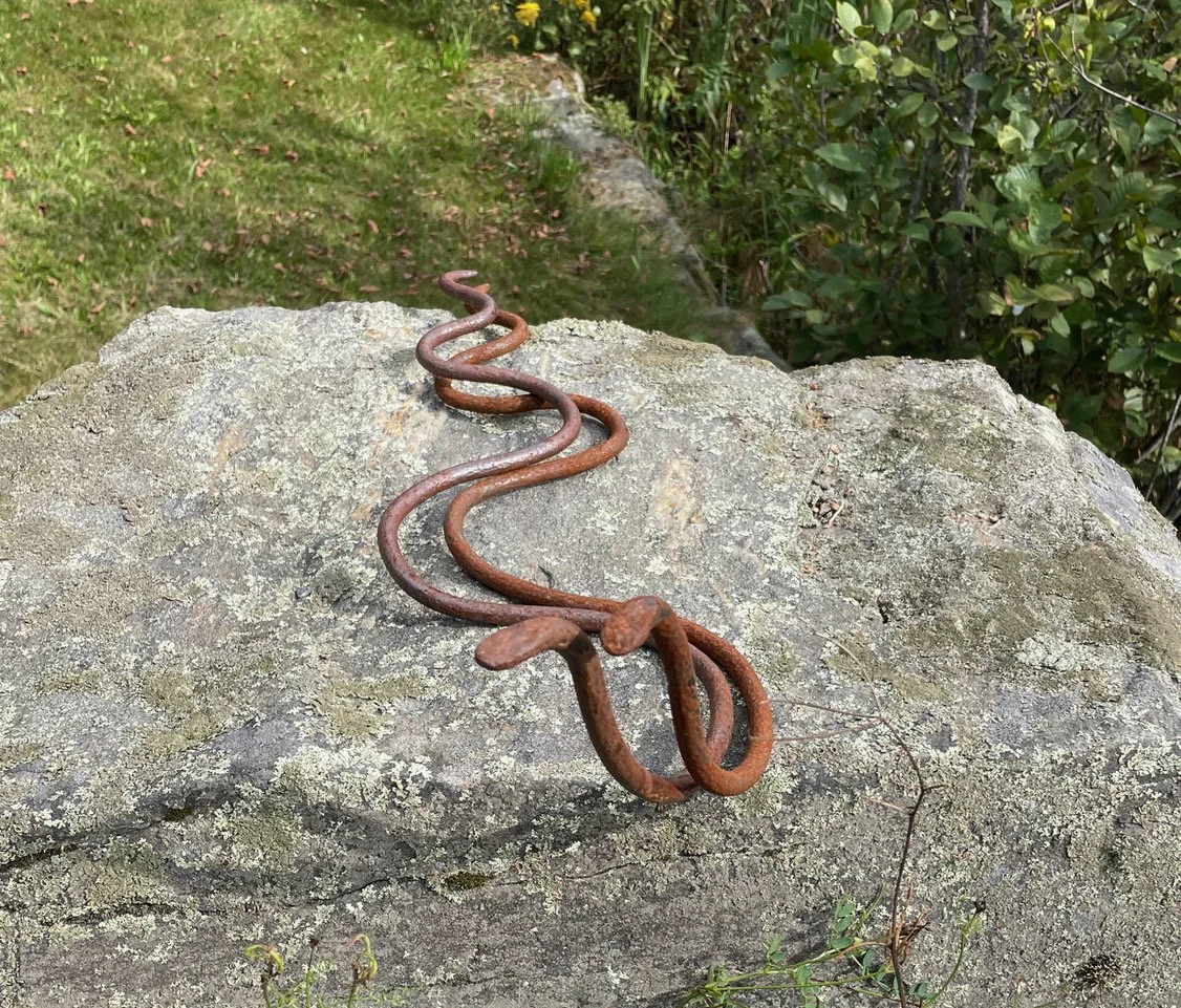 Twin Snakes by Tess Faraci