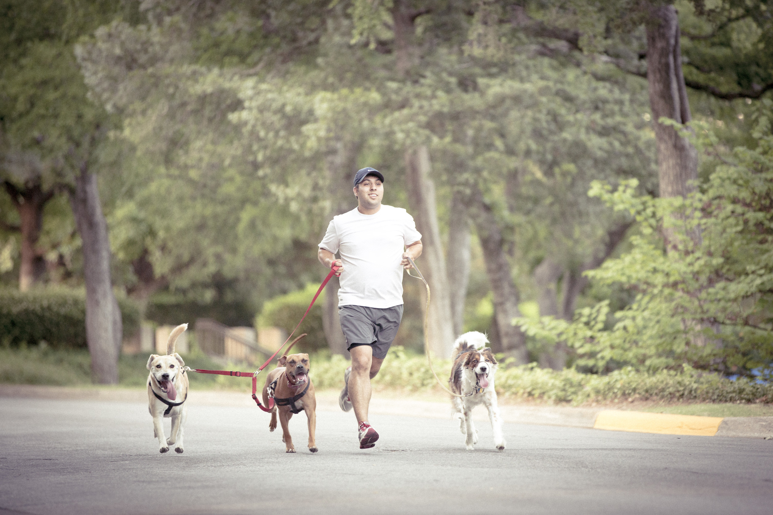 Running With The Pack