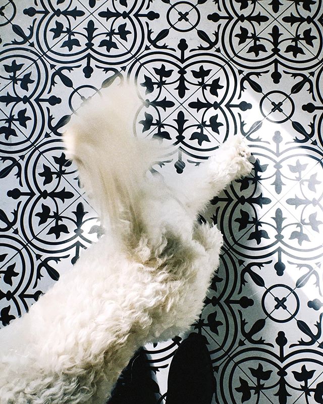 Winslow and I share this thing about floors. #ihavethisthingwithfloors