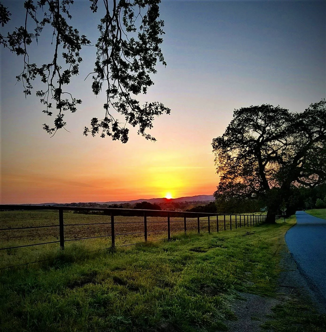 Templeton Sunrise Photo Credit: Iain Beveridge