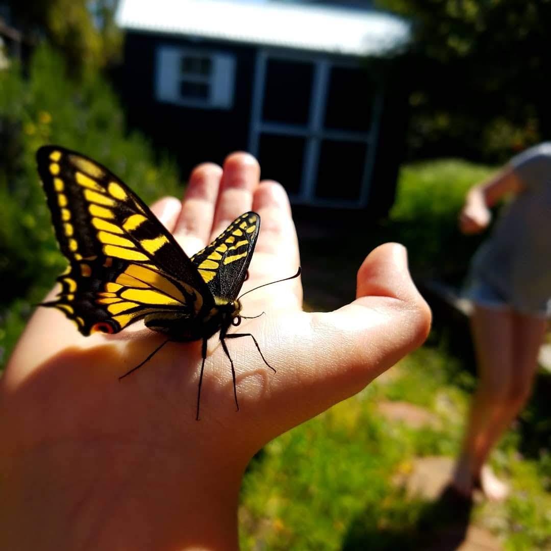 Photo Credit: Katie Bariel