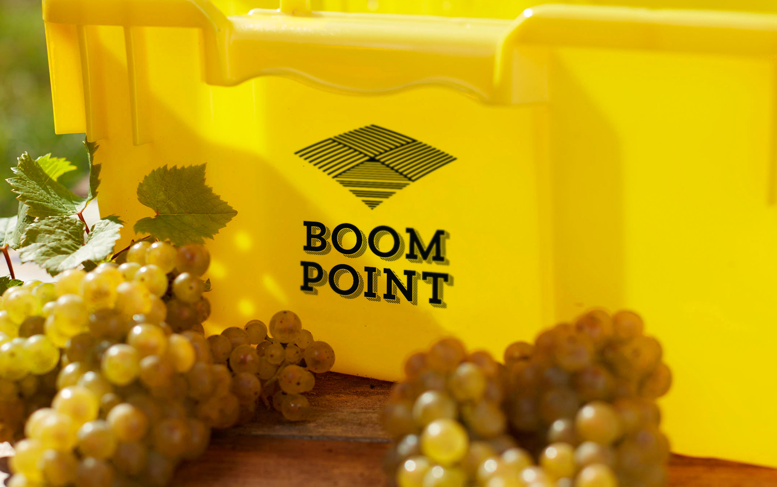 BP-Crate-2880x1806.jpg