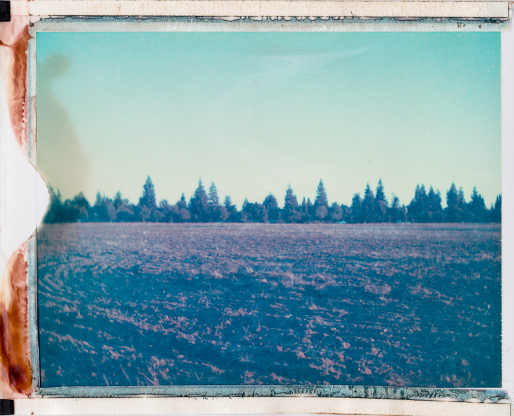 polaroid669cyan (1 of 2).jpg