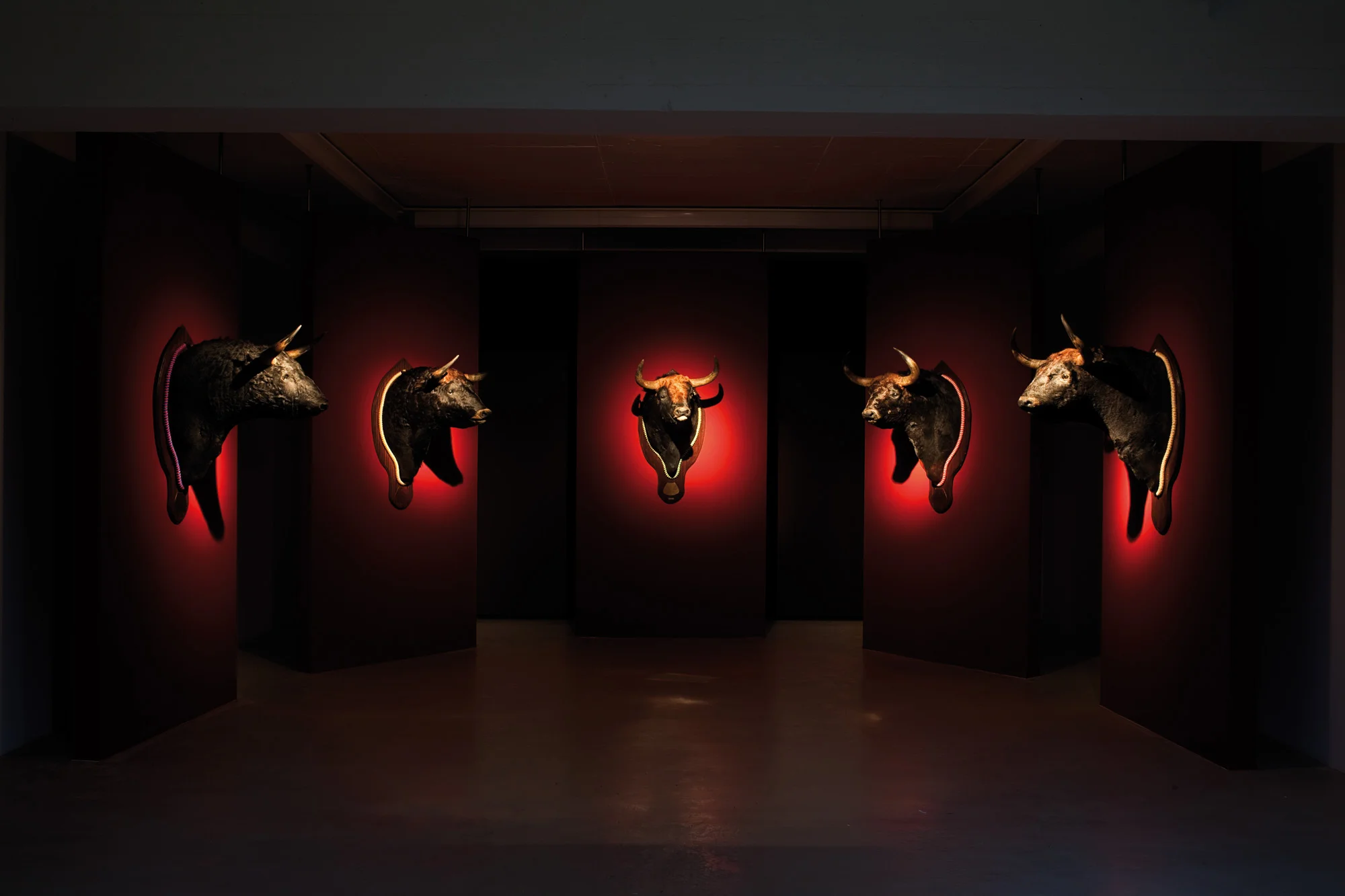 Sacrifice – Installation view of Ritual, death and incantation, approx. 8 x 7 x 4m; Museum DKM/Duisburg, Germany 2011/12