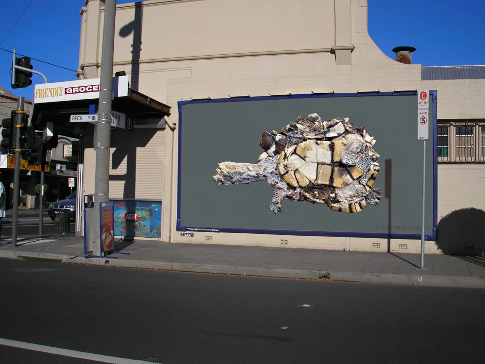 billboard, Long-Necked Turtle, Australia 2009