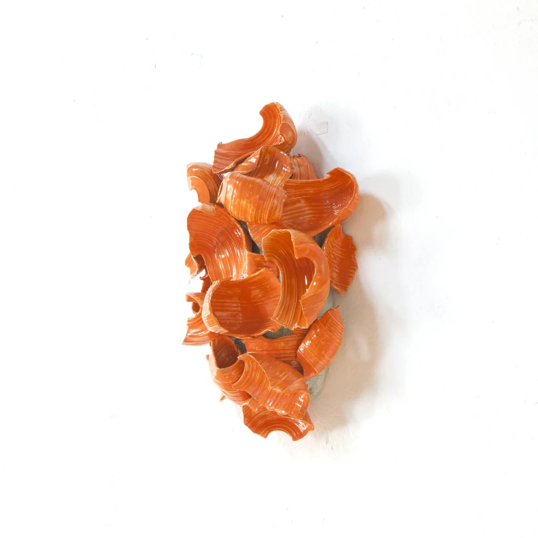 orange green IMG_0063.jpg