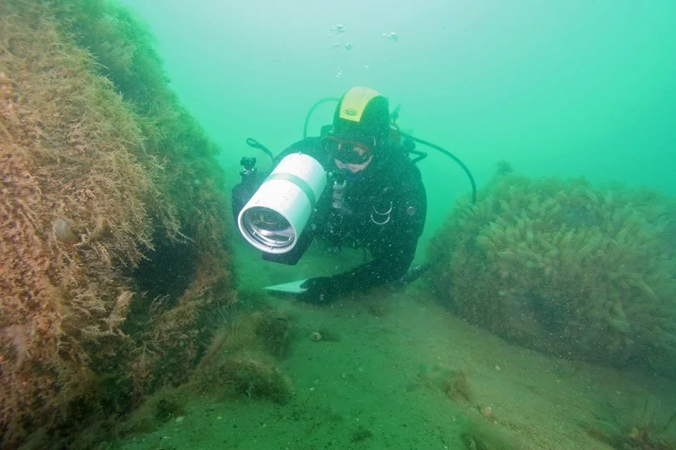 PhD student, Kade Mills, surveys one of our bay's artifical reefs. 