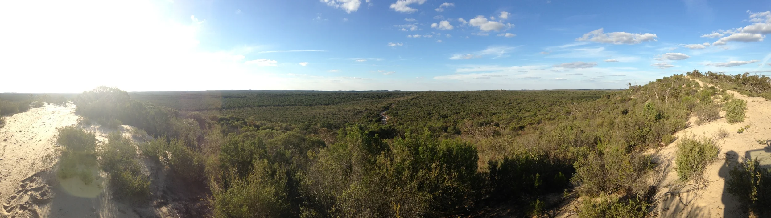 The vast landscape of the Big Desert. Photo: William Geary