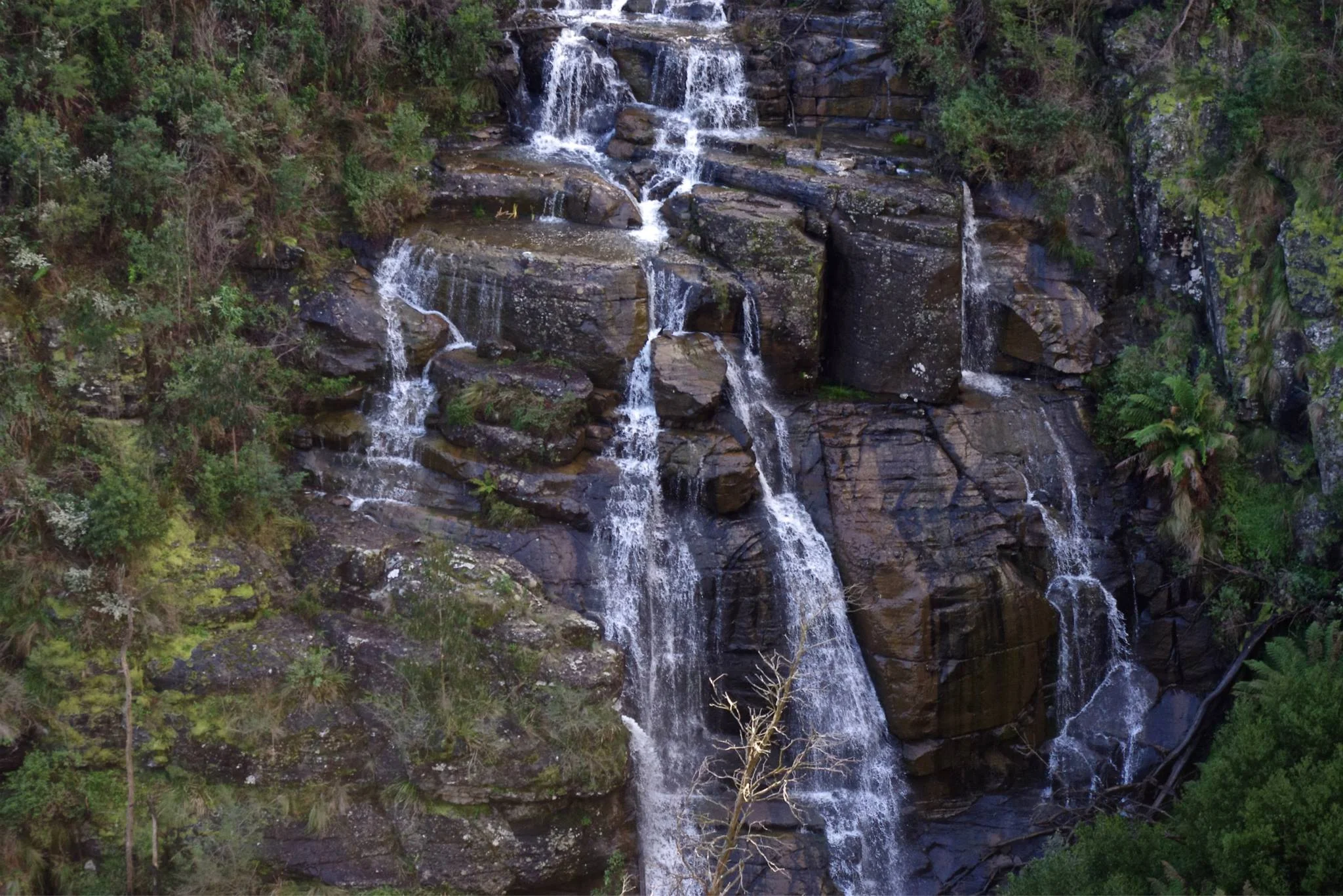 The beautiful Masons Falls. Photo: Cathy Cavallo Author note: After recent heavy rainfall, Masons Falls are now cascading with much more water than in the photos above. This is a remarkable spectacle that is worth a trip!