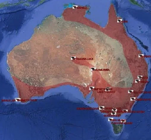 The former range of the Tasmanian devil. Source: Rewilding Australia