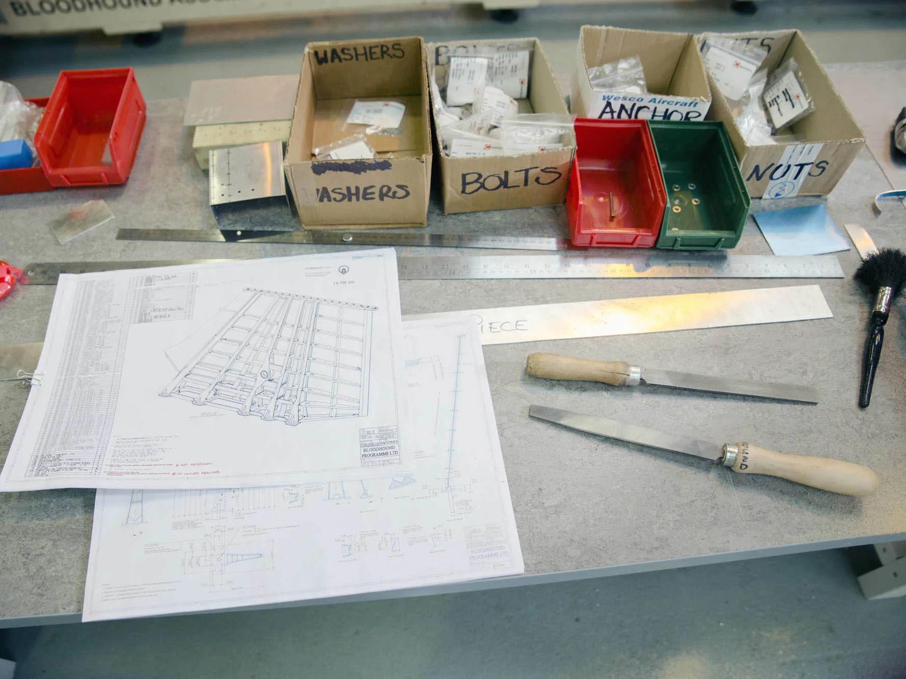 Tail Fin designs