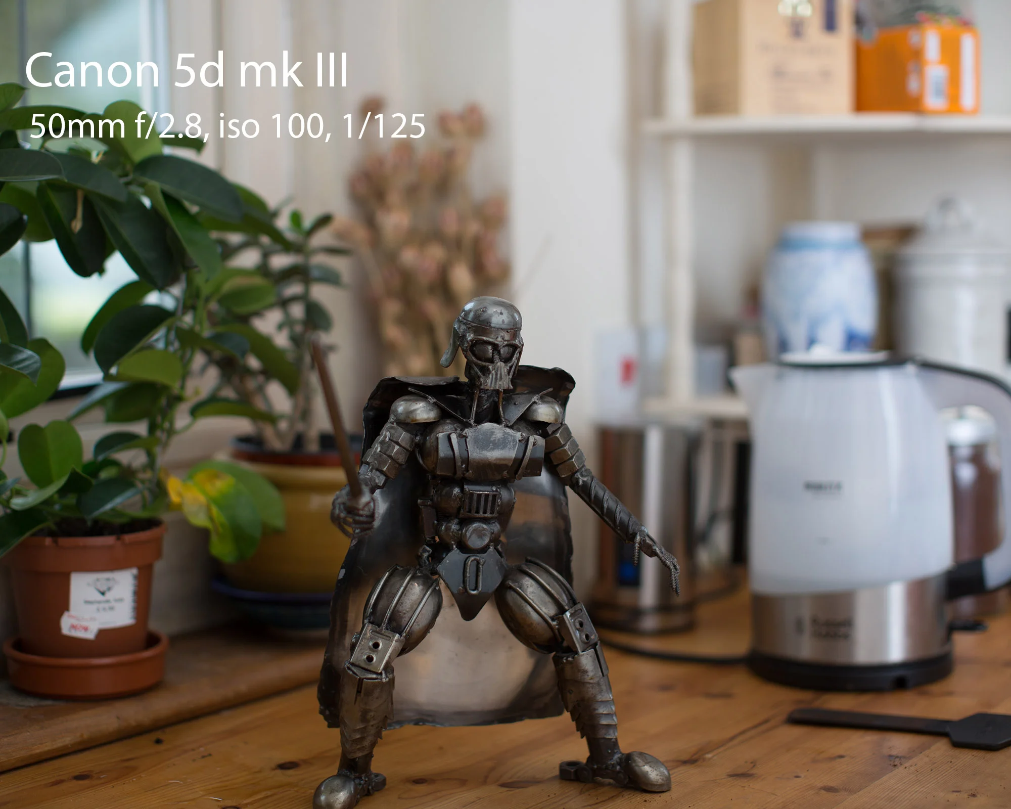 Canon 5d mk3.jpg