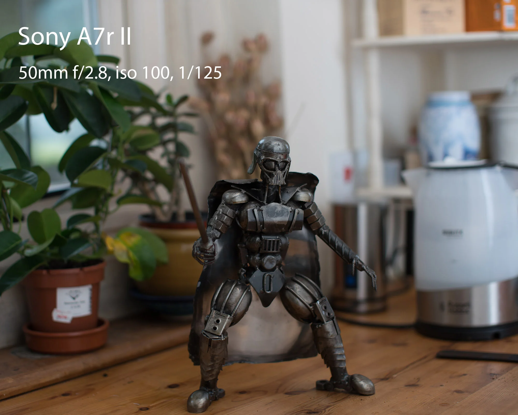 Sony A7rII.jpg