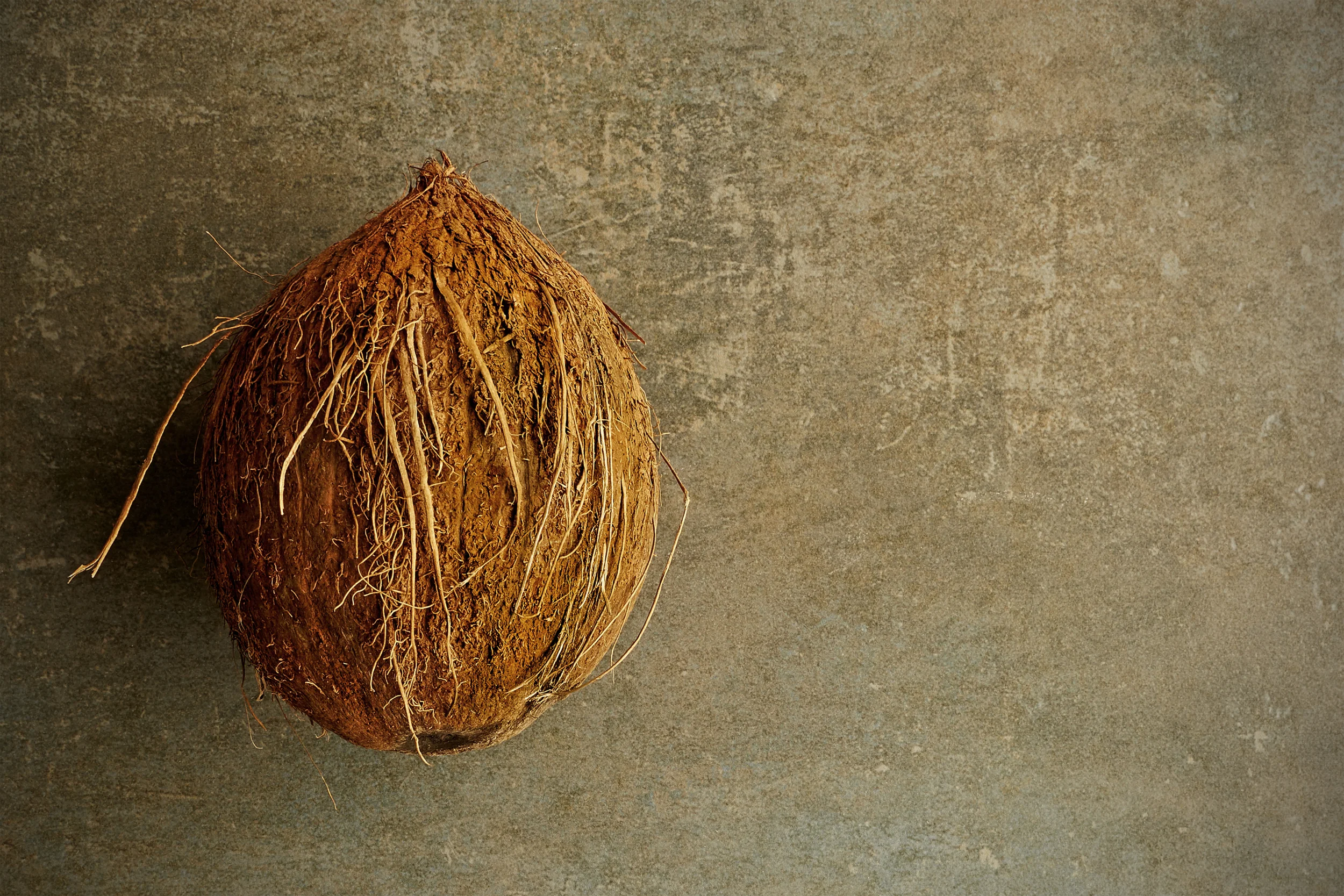 coconut(web).jpg