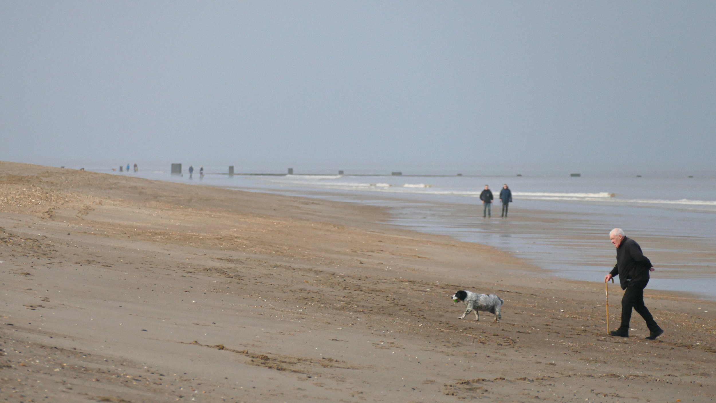 old man on the beach.jpg